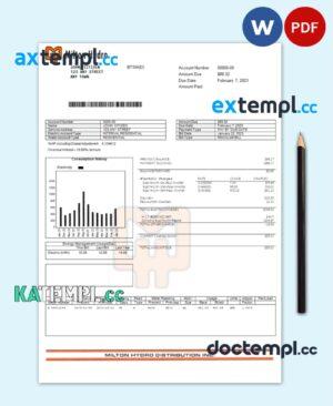 sample Canada Milton Hydro electricity bill Word and PDF template download