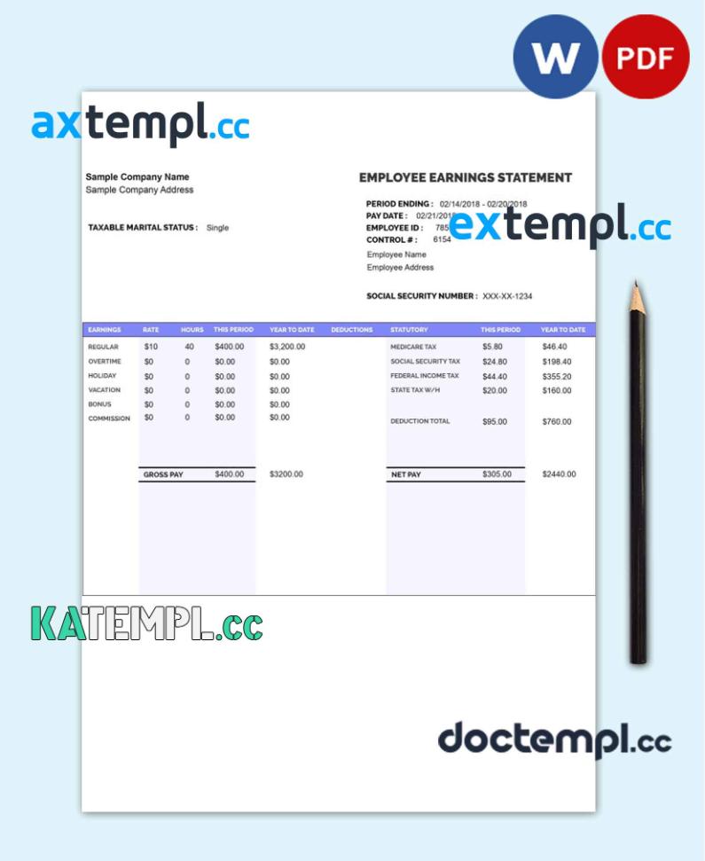 sample EMPLOYEE earnings statement template Word and PDF format version 8 download