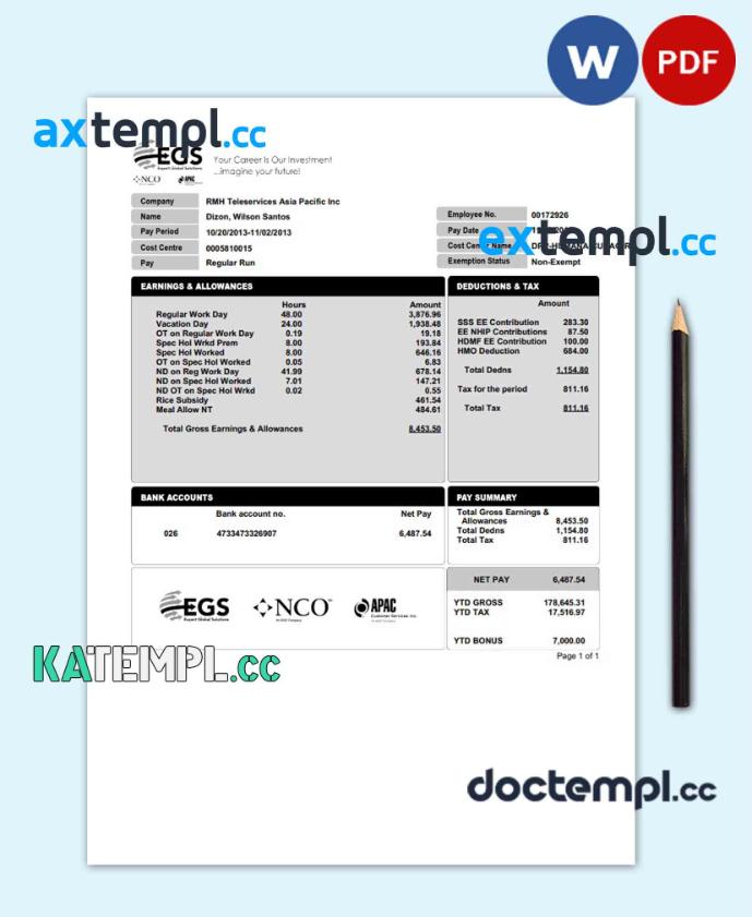 sample EXPERT GLOBAL SOLUTIONS COMPANY pay stub template in PDF and Word format download