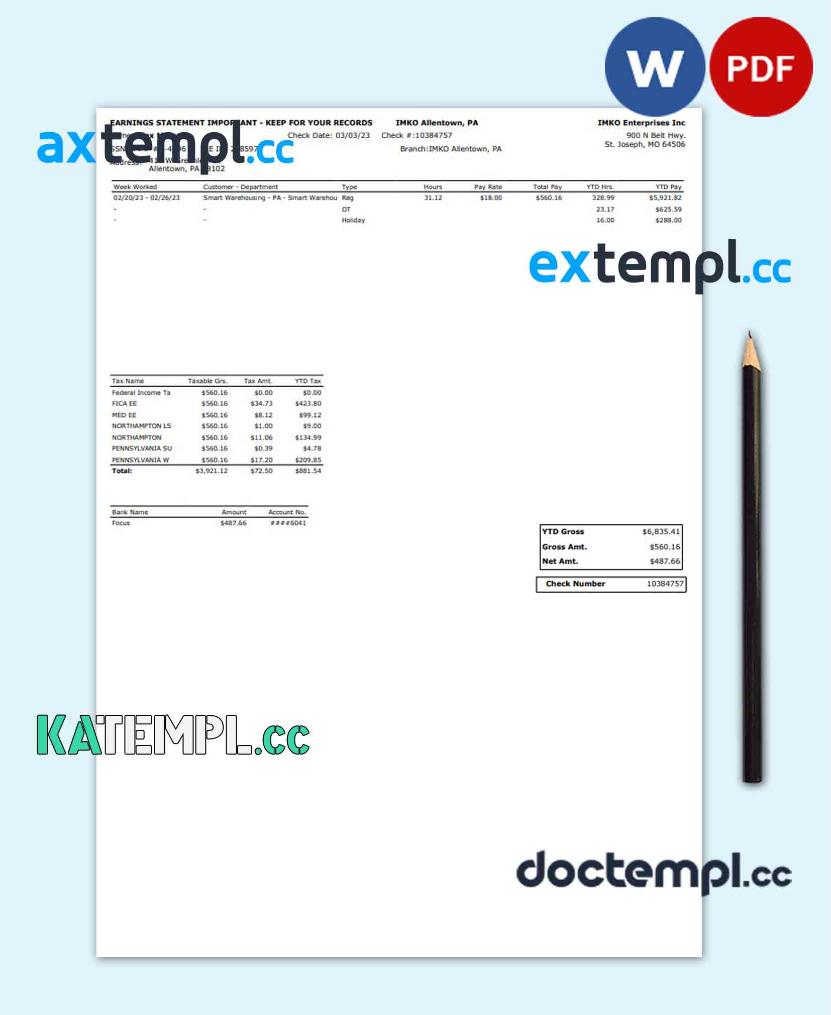 sample IMKO Enterprises Inc earnings statement Word and PDF template download