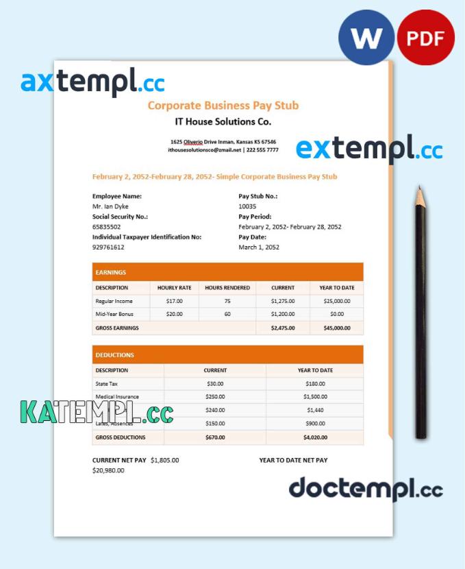 sample IT house solutions Co. pay stub template in PDf and Word formats download