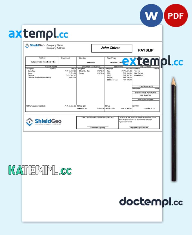 sample SHIELDGEO payslip pay stub template in Word and PDF formats download
