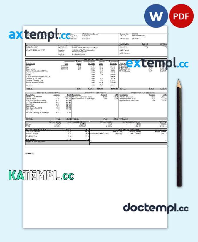 sample University of North Carolina pay stub Word and PDF template download