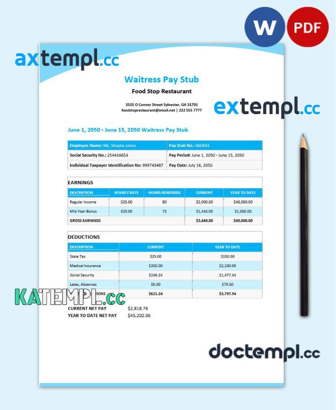 sample Waitress Pay Stub Word and PDF template download