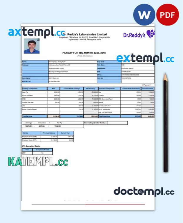 sample laboratory payslip Word and PDF template download