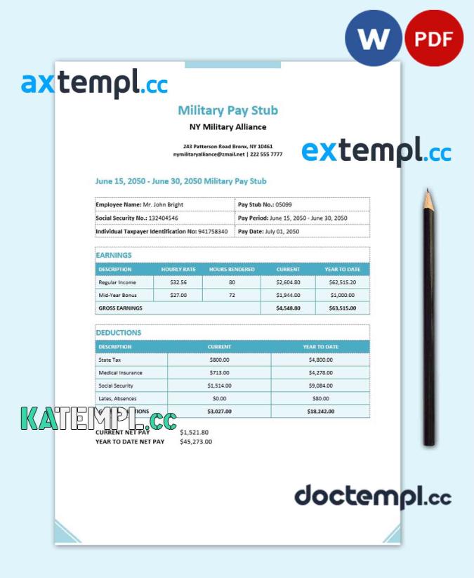 sample Military paystub Word and PDF template download