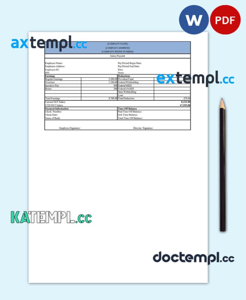 sample Salary pay stub template in Word and PDF template, version 2 download