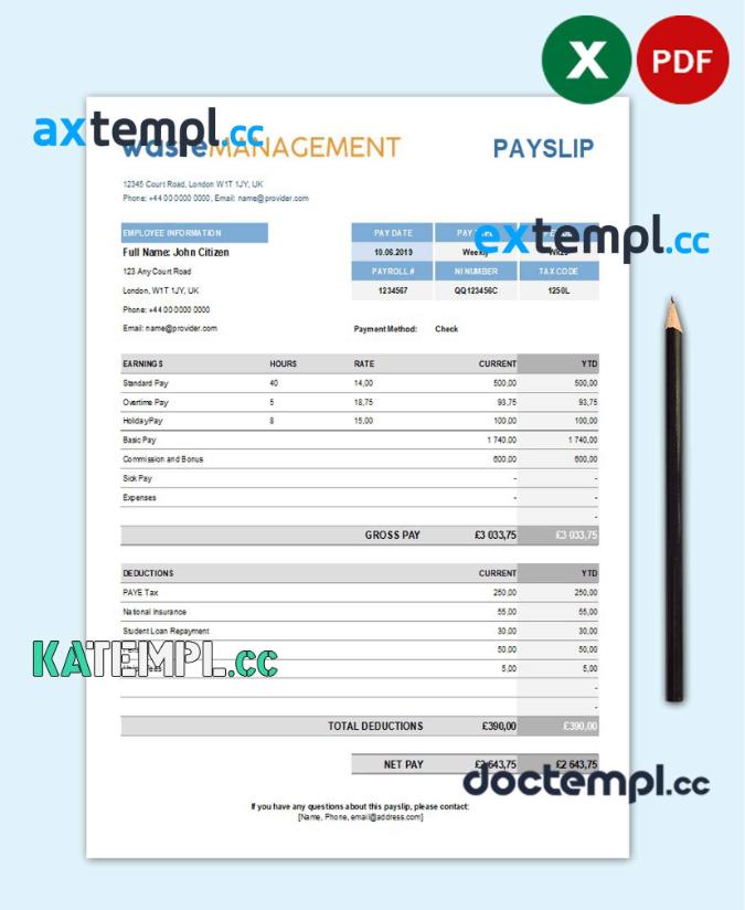 sample waste management company earning statement template in Excel and PDF formats download