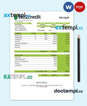 sample India Biz2Credit Inc. consumer lending company pay stub Word and PDF template download
