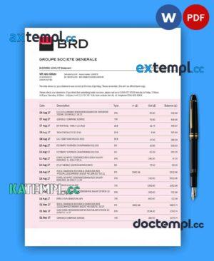 sample Brd Bank organization account statement Word and PDF template download