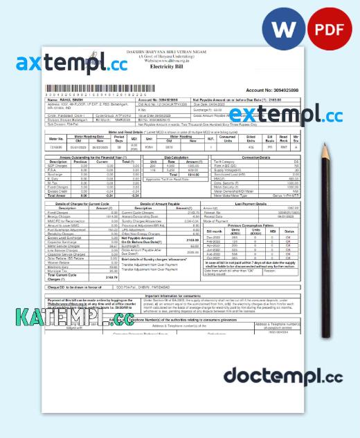 sample INIDA DHBVN utility bill Word and PDF template download