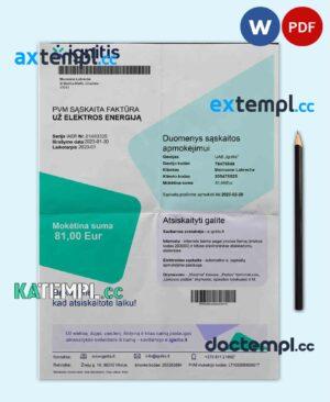 sample LITVA IGNITIS utility bill Word and PDF template download