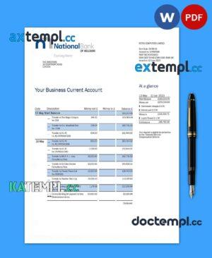 sample NATIONAL Bank of Belgium enterprise statement Word and PDF template download