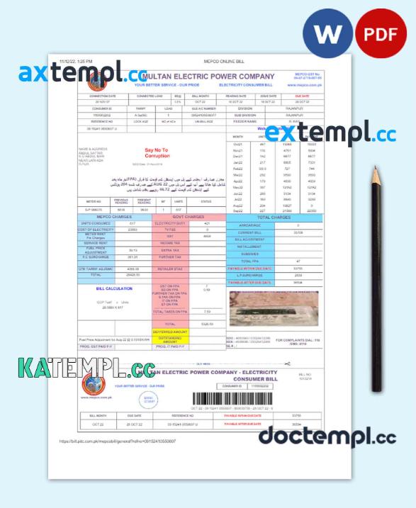sample PAKISTAN MULTAN ELECTRIC POWER utility bill Word and PDF template, version 2 download