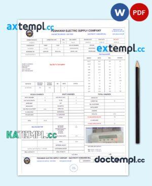 sample PAKISTAN PESHAWAR ELECTRIC SUPPLY COMPANY utility bill Word and PDF template download