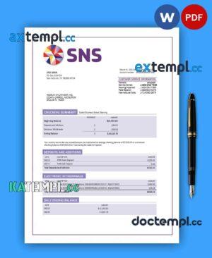 sample SNS Bank enterprise account statement Word and PDF template download