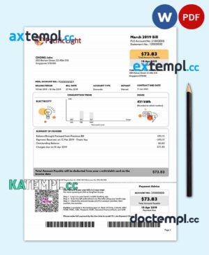 sample Singapore Pacific Light electricity utility bill template in Word and PDF format download