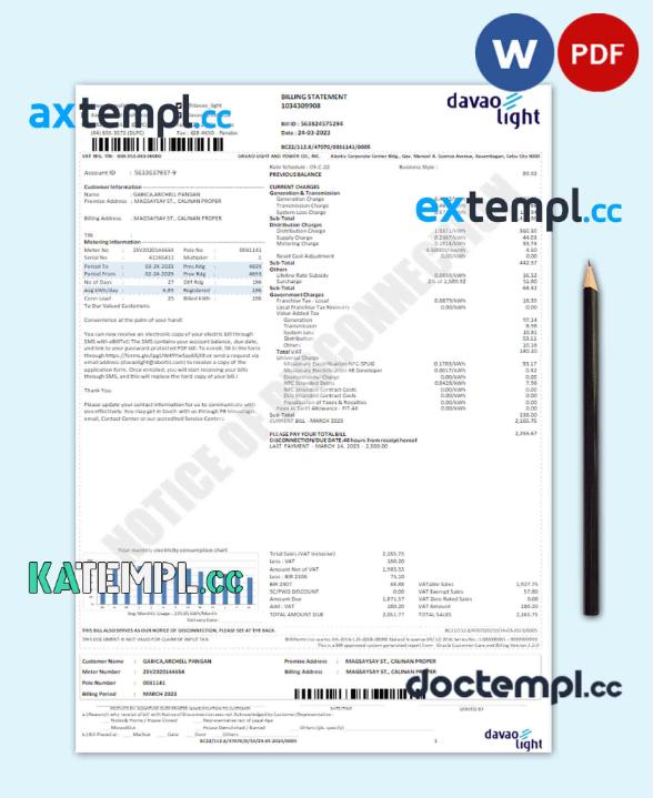 sample USA DAVAO LIGHT utility bill Word and PDF template download