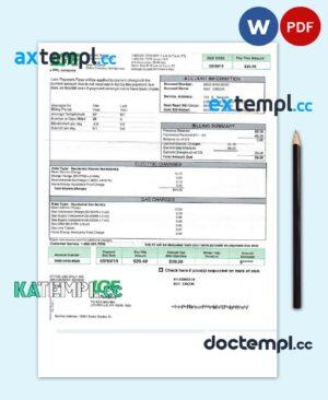 sample USA LG&E utility bill Word and PDF template download