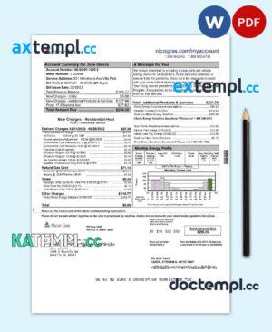 sample USA NICOR GAS utility bill Word and PDF template download