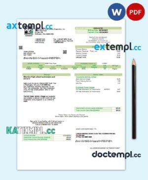 sample USA Ohio Lorain-Medina Rural Electric utility bill template in Word and PDF format download