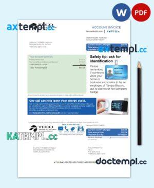 sample USA TECO utility bill Word and PDF template download
