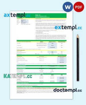 sample USA TESLA utility bill Word and PDF template download