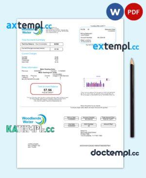 sample USA Woodlands Water utility bill Word and PDF template download