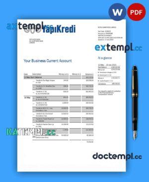 sample Yapi Kredi Bank organization account statement Word and PDF template download