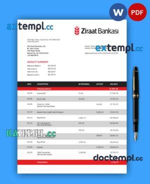 sample Ziraat Bankasi business checking account statement Word and PDF template download