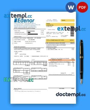 sample Edenor easy to fill utility business bill, Word and PDF template download
