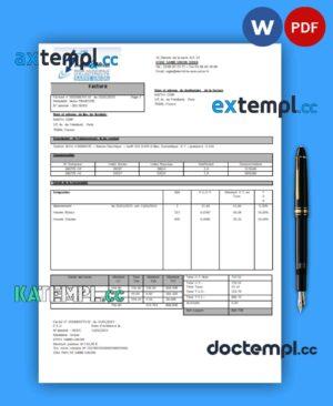 sample Energies & Services Regie Municipal d Electricite Sarre-Union electricity utility business bill, Word and PDF template download
