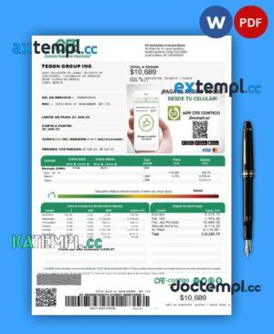 sample Federal Electricity Commission (CFE) business utility bill, PDF and WORD template 2 pages download