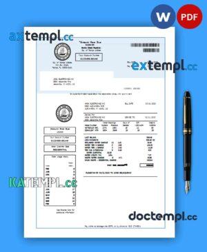 sample Florida water business utility bill, Word and PDF template download