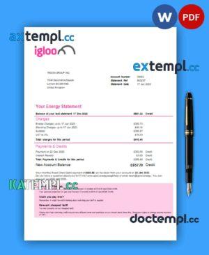 sample Igloo Energy business utility bill, Word and PDF template download
