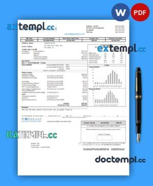 sample Illinois Peoples Gas business utility bill, Word and PDF template download