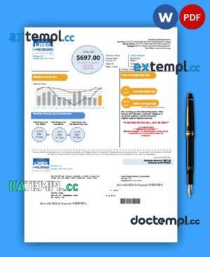 sample Lake Region Electric Cooperative business utility bill, Word and PDF template download