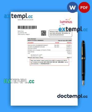 sample Luminus business utility bill, Word and PDF template download