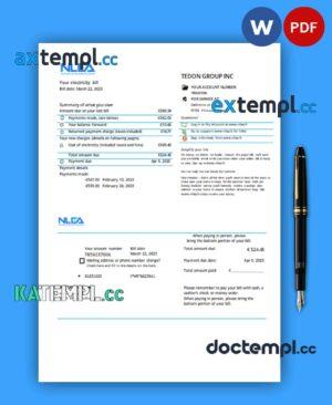 sample National Lithuanian Energy Association business utility bill, Word and PDF template download
