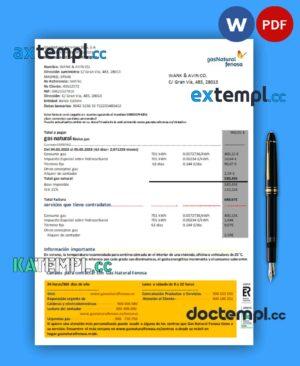 sample Spain GasNatural fenosa business utility bill, PDF and WORD template download