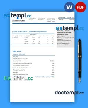sample The National Power Company of Iceland Landsvirkjun electricity business utility bill, Word and PDF template download