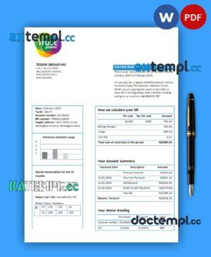 sample Trustpower business utility bill, Word and PDF template download