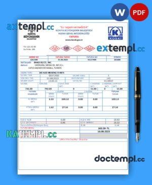 sample Turkey water electricity business utility bill, Word and PDF template download