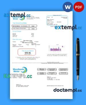 sample Woodlands Water business utility bill, Word and PDF template download