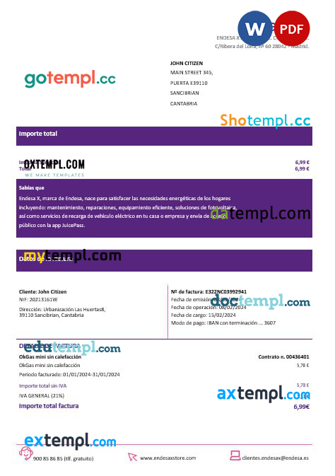 Spain Barcelona Endesa X electricity utility bill Word and PDF formats