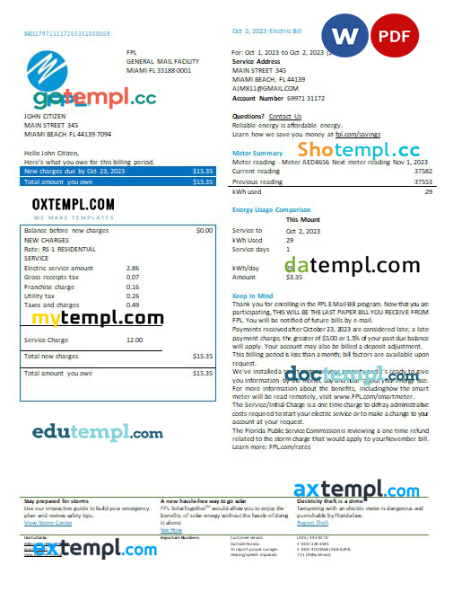 USA Florida FPL electricity utility bill Word and PDF formats, version 2