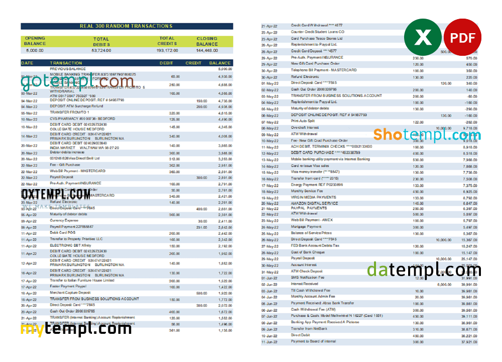 real 300 random bank transactions, Excel and PDF example, 7 pages