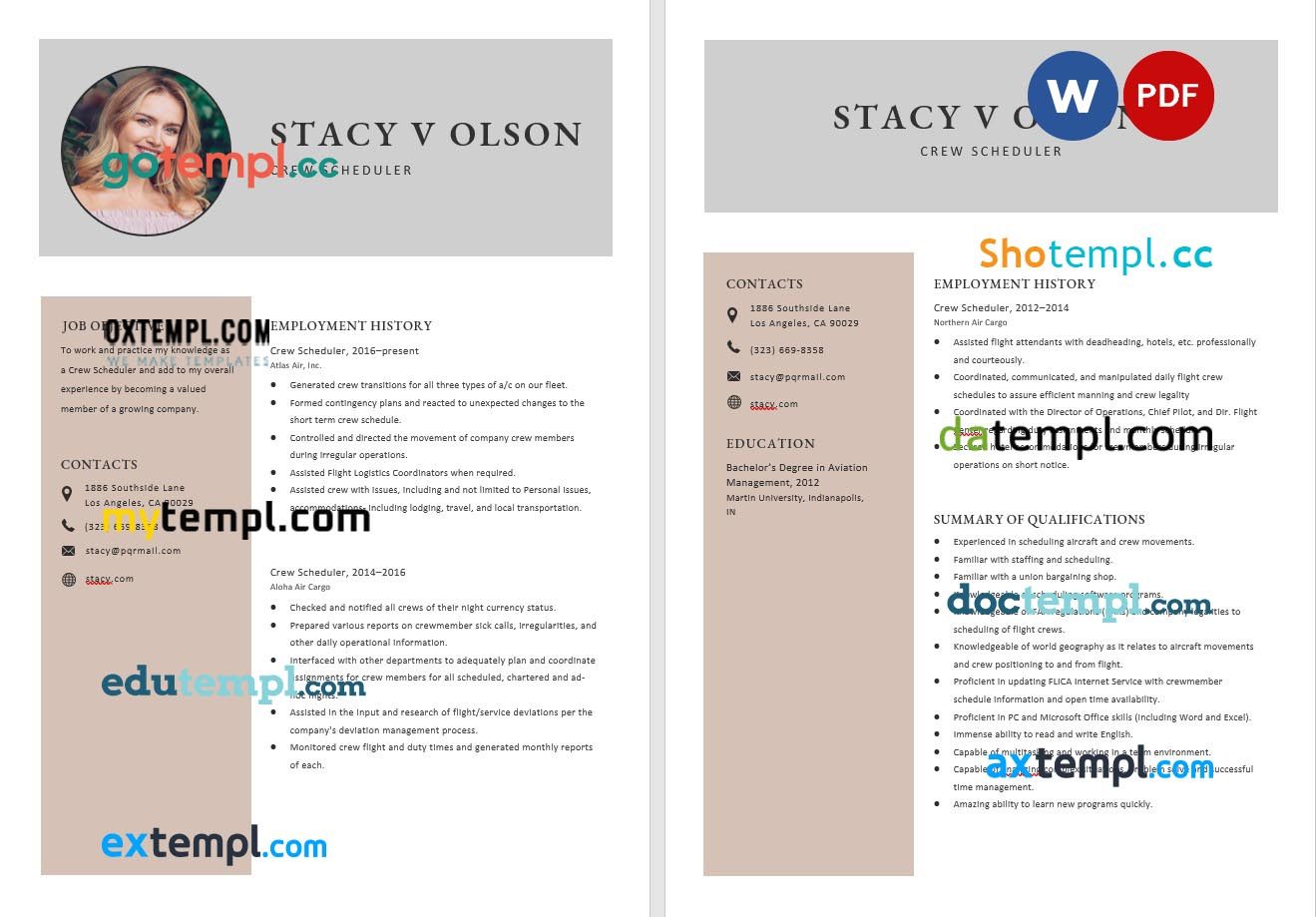 free download contract auditor resume example in Word and PDF format