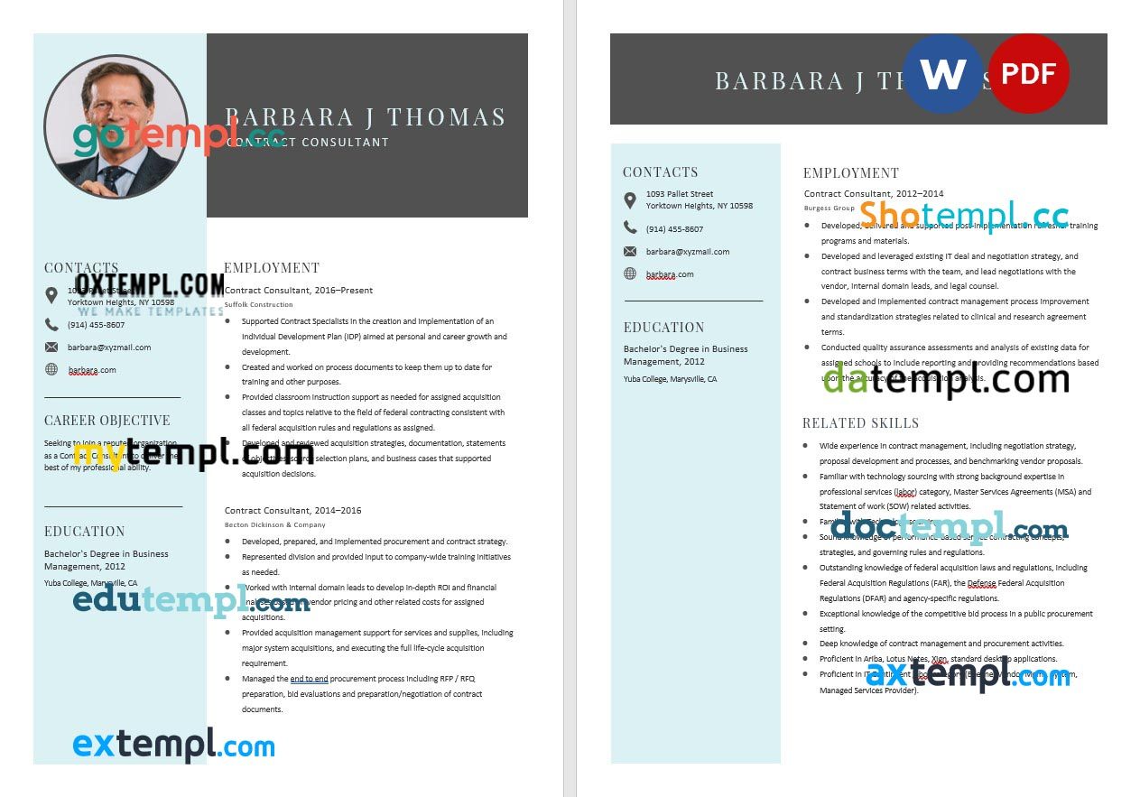 free download contract consultant resume example, Word and PDF format