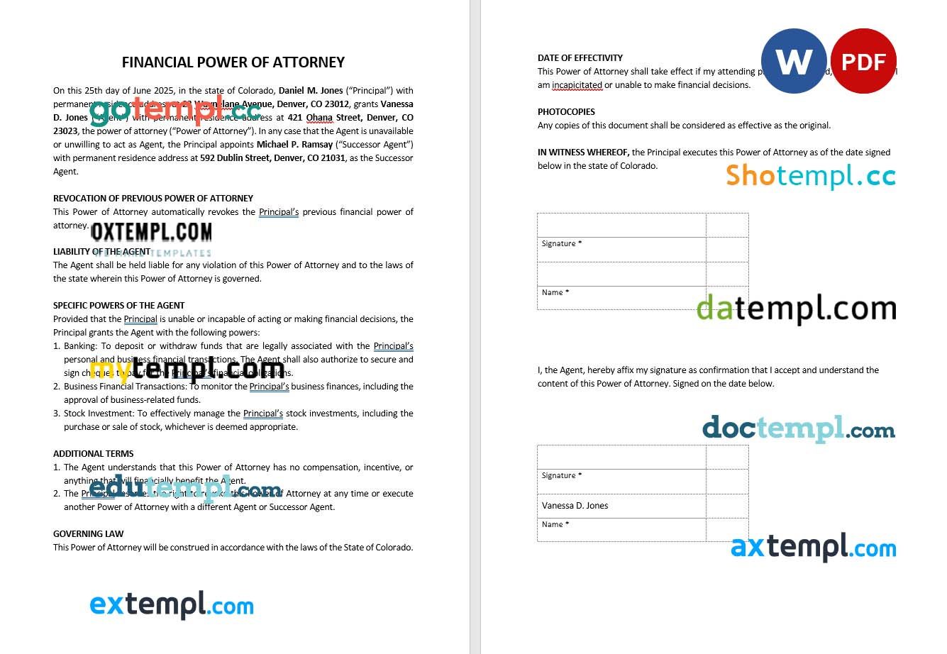 Financial Power of Attorney Form example, fully editable